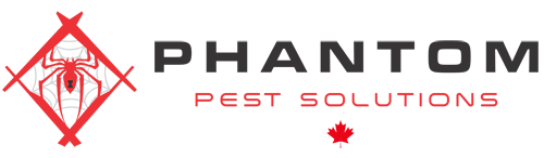 Phantom Pest Control
