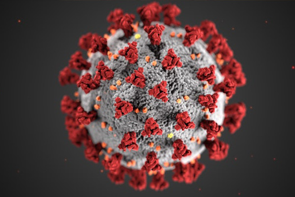 Covid-19 Virus | Phantom Pest Control Vancouver