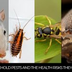 5 Types of Household Pests and the Health Risks They Pose | Phantom Pest Control Vancouver
