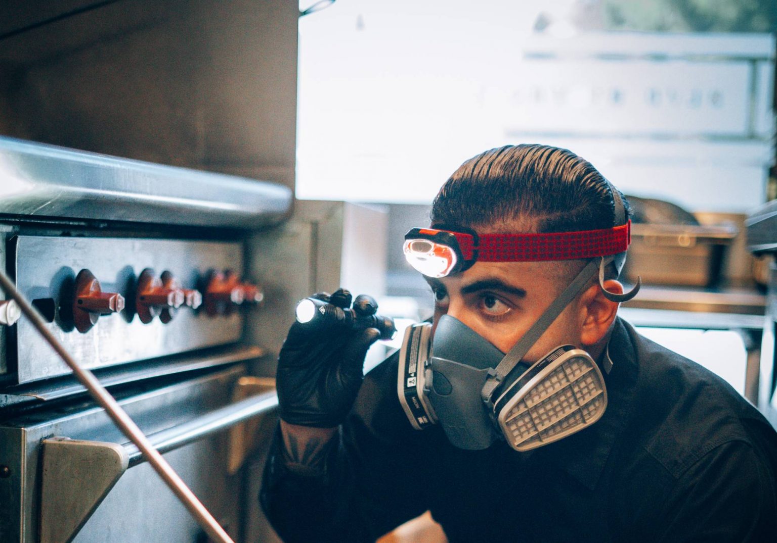 Signs You Have a Pest Infestation and What To Do Phantom Pest Control