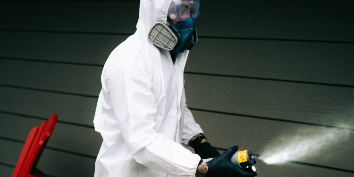 Latest Blog Articles | Phantom Vancouver Pest Control