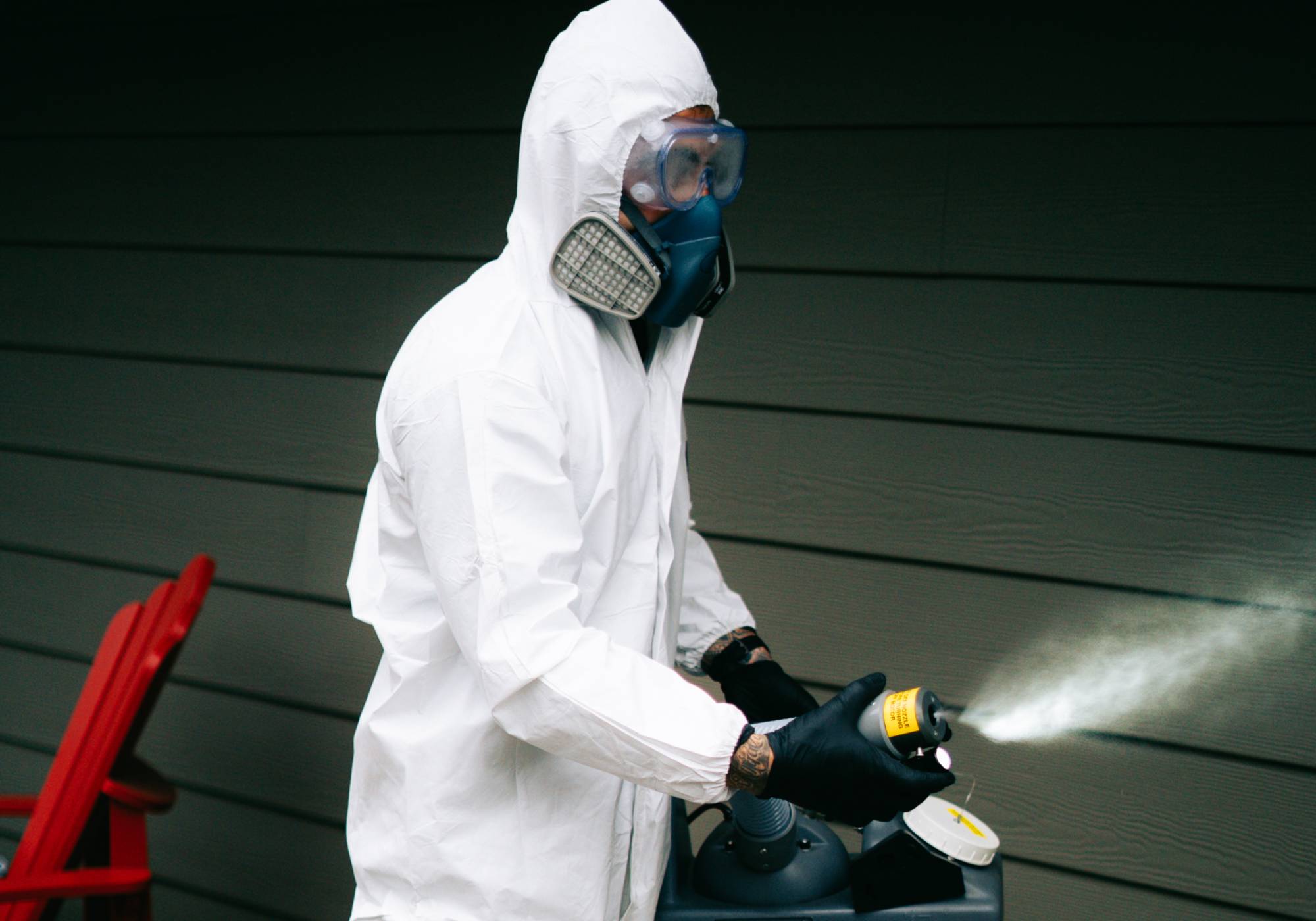 Pest Infestation and control vancouver