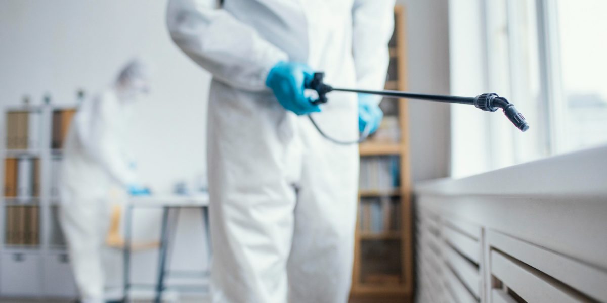 Top 5 Reasons to Hire a Pest Controller Now | Phantom Pest Solutions