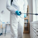 Top 5 Reasons to Hire a Pest Controller Now | Phantom Pest Solutions