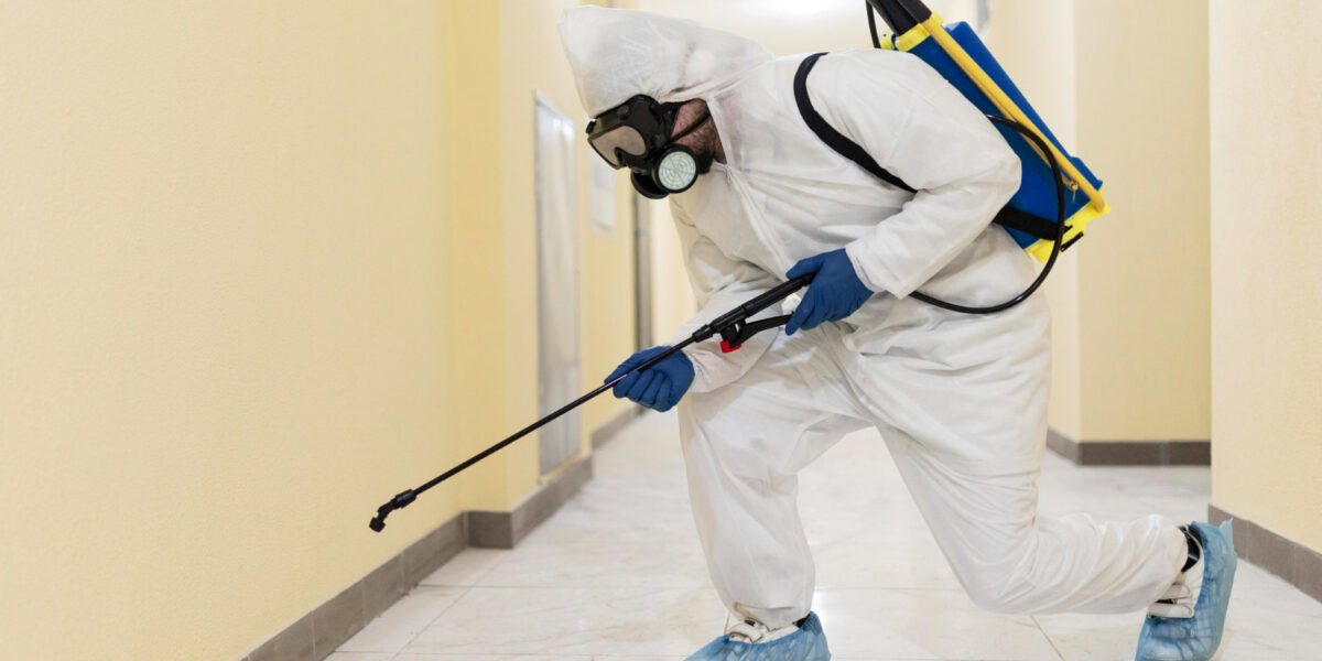 Winter Pest Protection: Professional Services for Your Home
