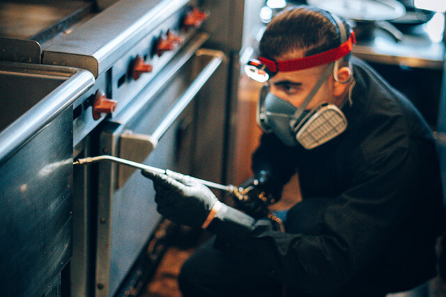 8 Signs It’s Time to Call a Pest Control | Phantom Pest Control