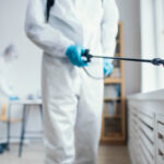 4 Hidden Pests That Might Be in Your Home | Phantom Pest Control