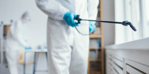 4 Pests You Didn’t Know Could Be Lurking in Your Home