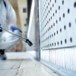 Summer Pests That’ll Keep You Up At Night in Vancouver