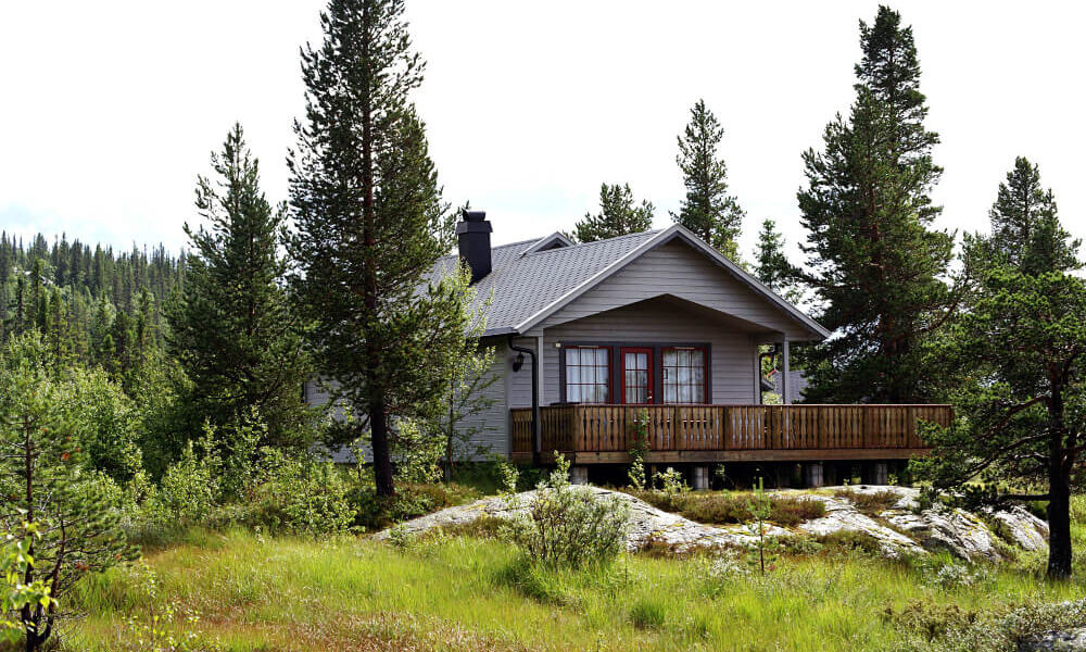 Why Pest Control Matters in Older Vancouver Homes | Phantom Pest Control