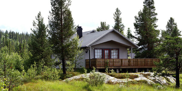 Why Professional Pest Control Is Worth It in Older Vancouver Homes?