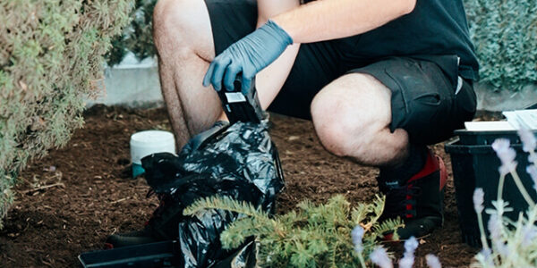 Winter Rodent Prevention for Homes & Businesses in Vancouver