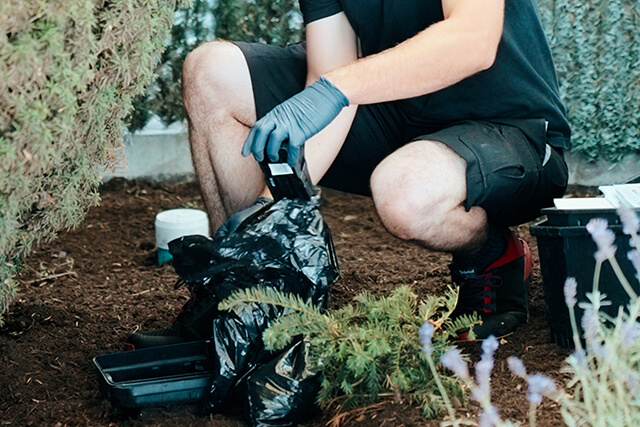 Winter Rodent Prevention in Vancouver | Phantom Pest Control