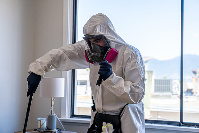 How Do You Get Bed Bugs & How They Spread? | Phantom Pest Control