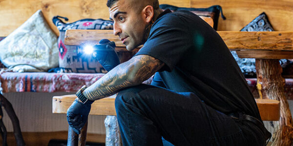 How Rodents Affect Restaurants and Food Businesses in Vancouver