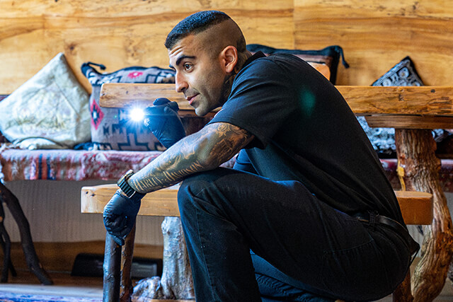 Rodent Risks for Vancouver Restaurants | Phantom Pest Control