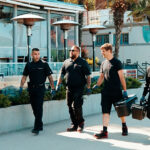 Why Vancouver Businesses Can’t Afford a Rodent Infestation Rodent Risks for Vancouver Restaurants | Phantom Pest Control