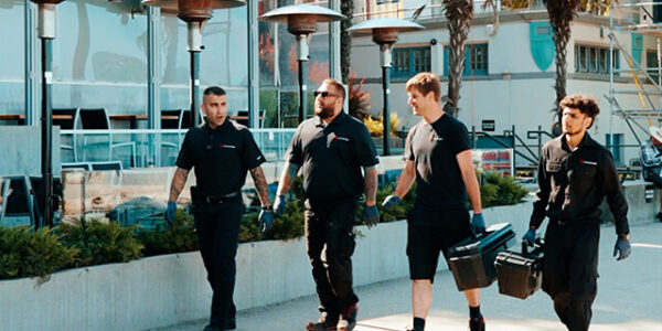 Why Vancouver Businesses Can’t Afford a Rodent Infestation