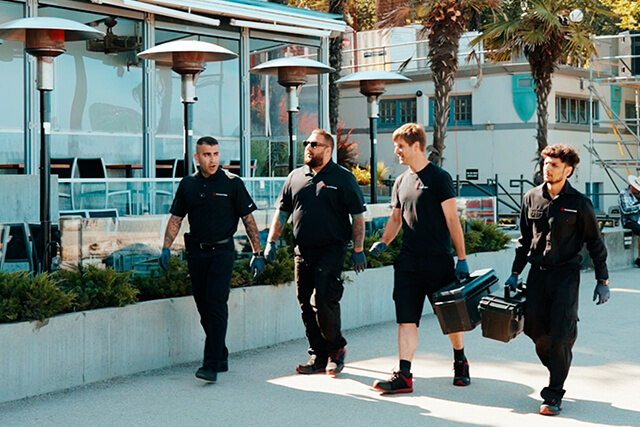 Rodent Risks for Vancouver Restaurants | Phantom Pest Control