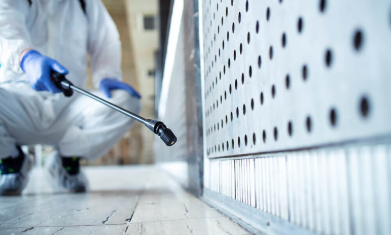 Summer Pests That’ll Keep You Up At Night in Vancouver