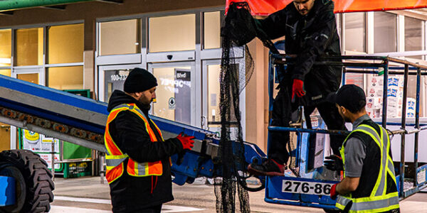 Tips to Keep Your Grocery Store Pest-Free