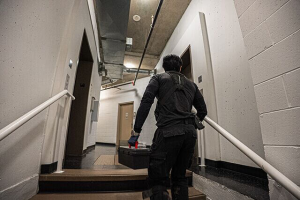 Storage Unit Pest Control Tips | Phantom Pest Exterminators