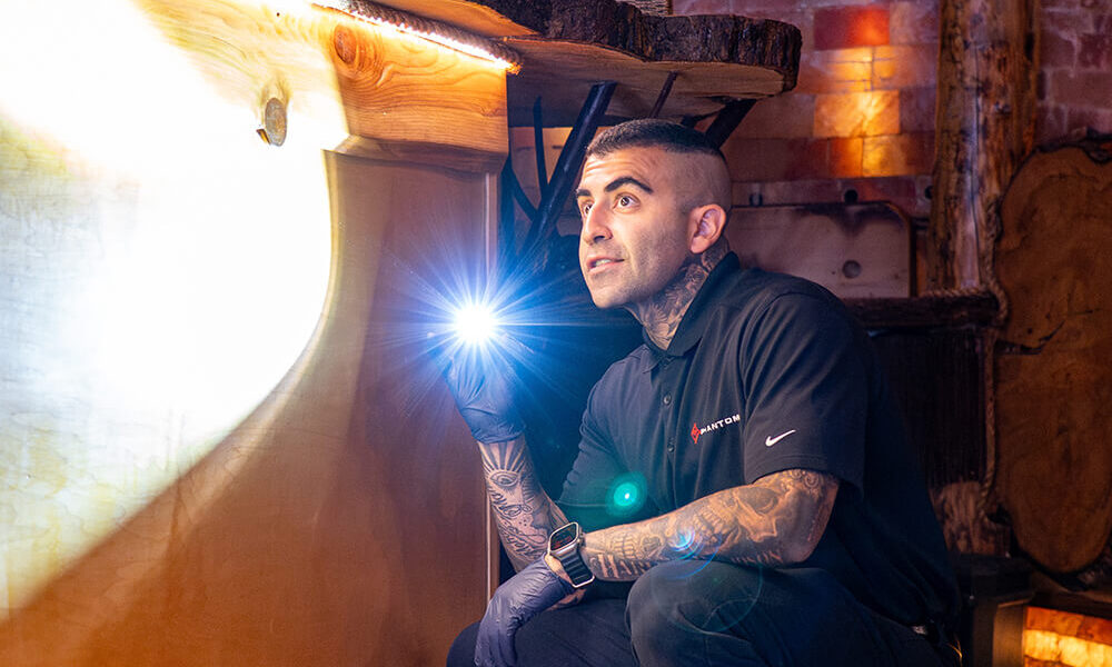 Spring Rodent Activity Signs & Prevention Tips | Phantom Pest Solutions