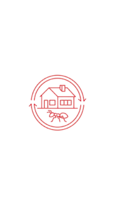 Ant control pest treatment Vancouver