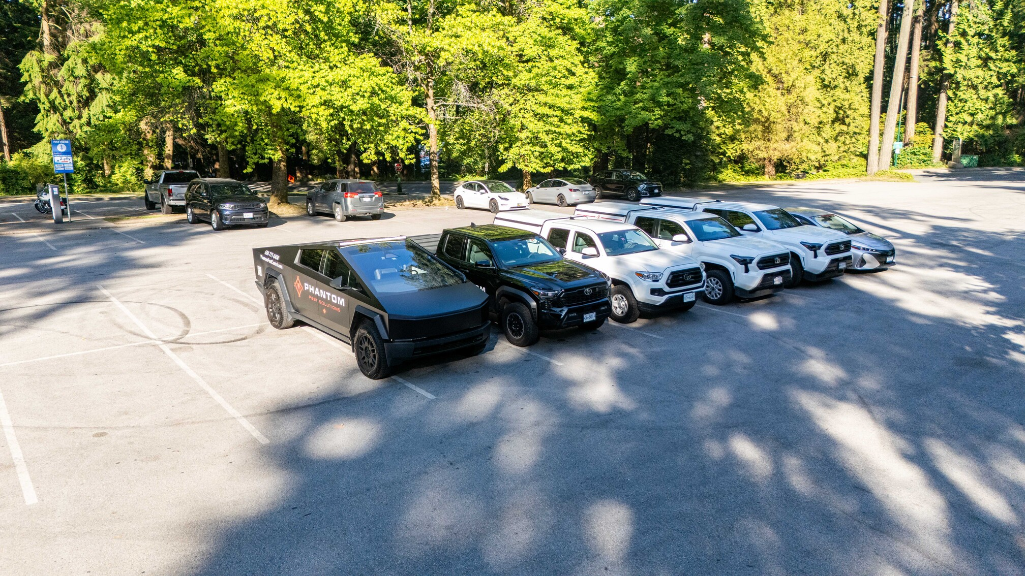 Phantom Pest Control service vehicles parked in a row beside tall trees, seen from above