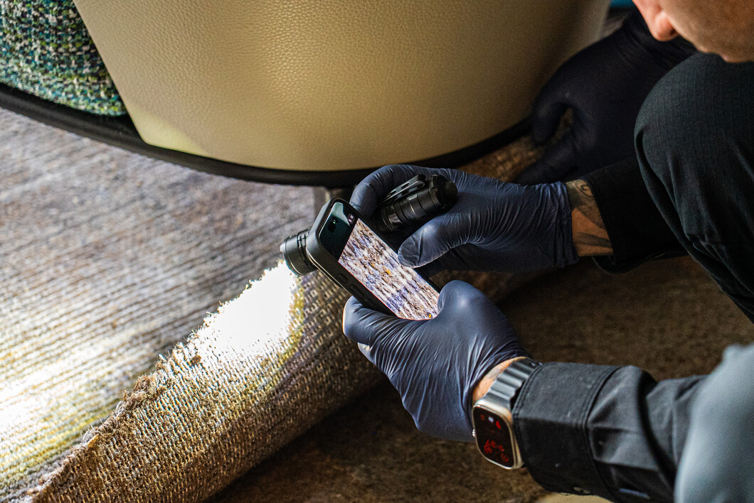 Phantom Pest Control technician using a flashlight and phone camera to inspect a rug edge under a chair