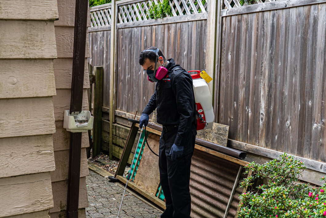 Phantom Pest Control technician doing townhouse pest control along a patio fence