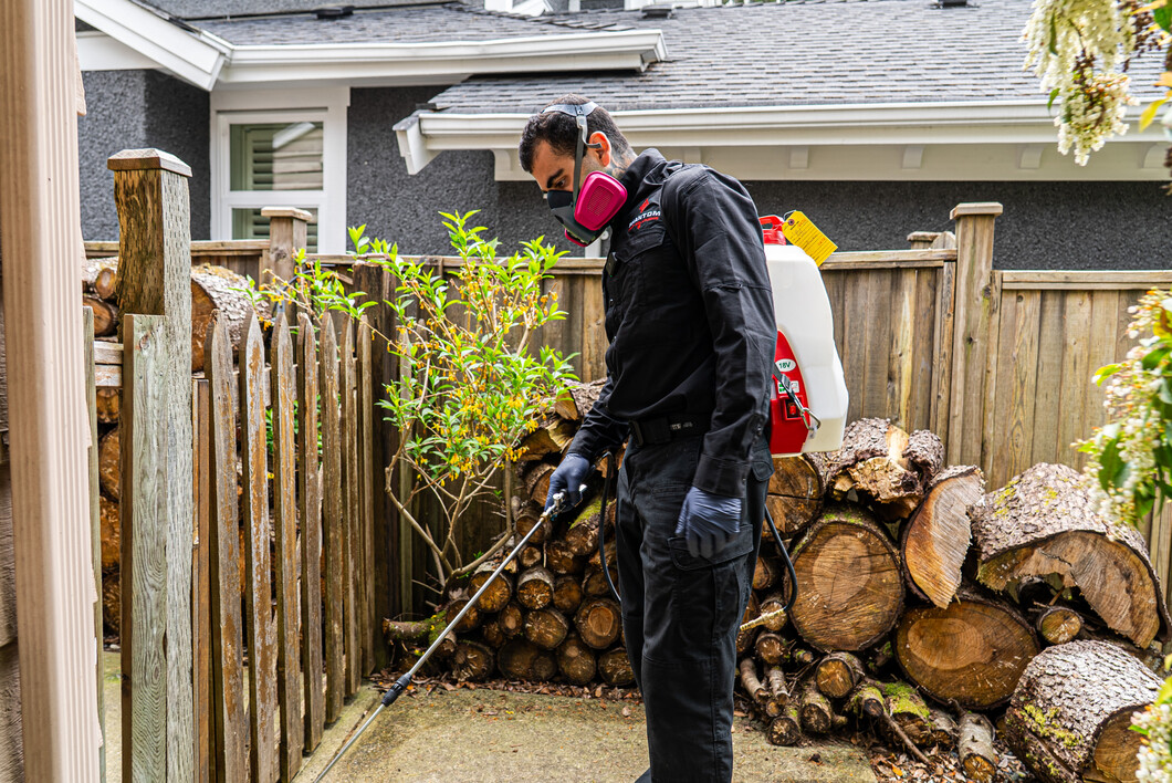 Phantom Pest Control technician treating along a fence beside a stacked woodpile at a house