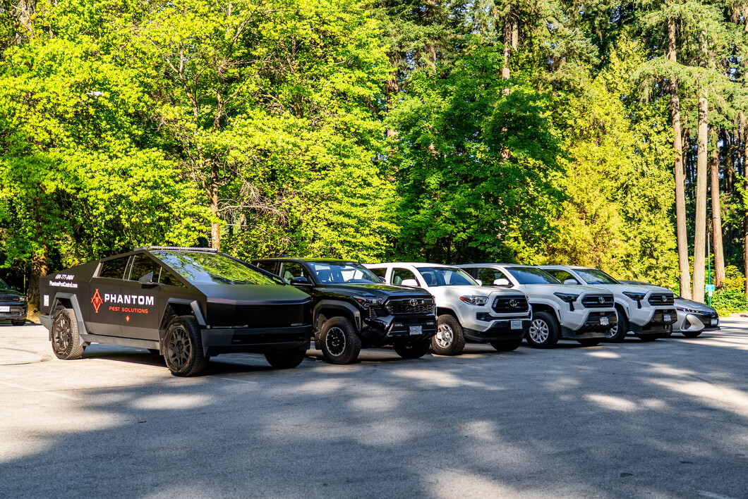 A Phantom Pest Control branded truck parked with other service vehicles beside tall trees