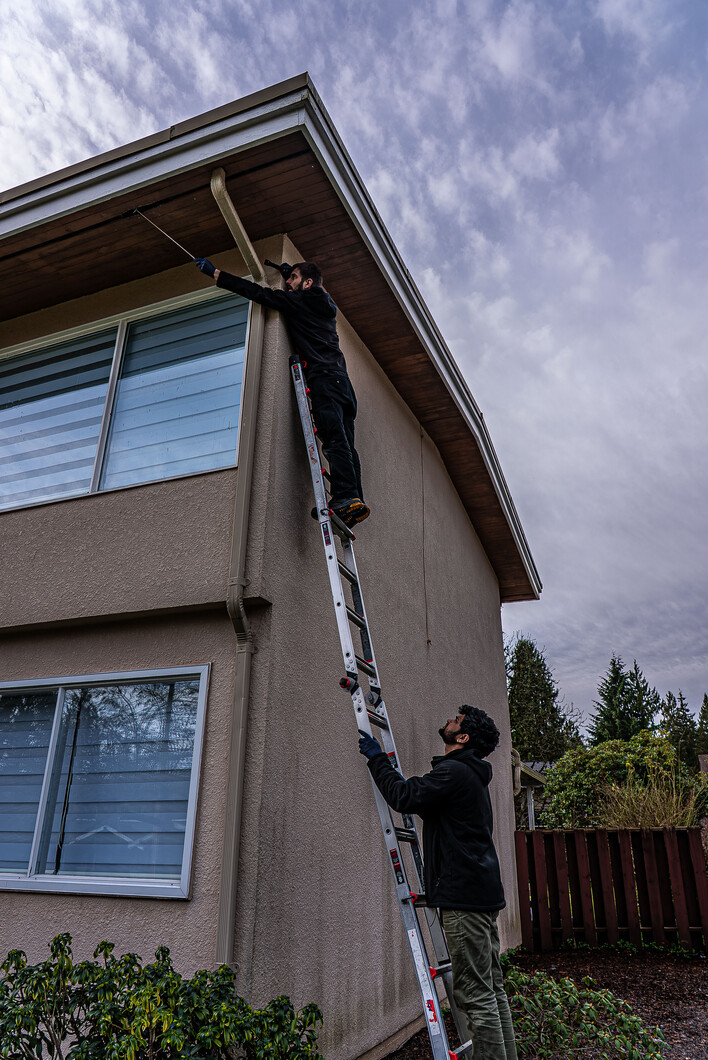 Two Phantom Pest Control technicians on a ladder checking the soffit of a two-storey house