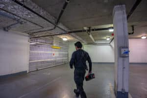 How to Identify and Eliminate Early Rodent Activity in Spring