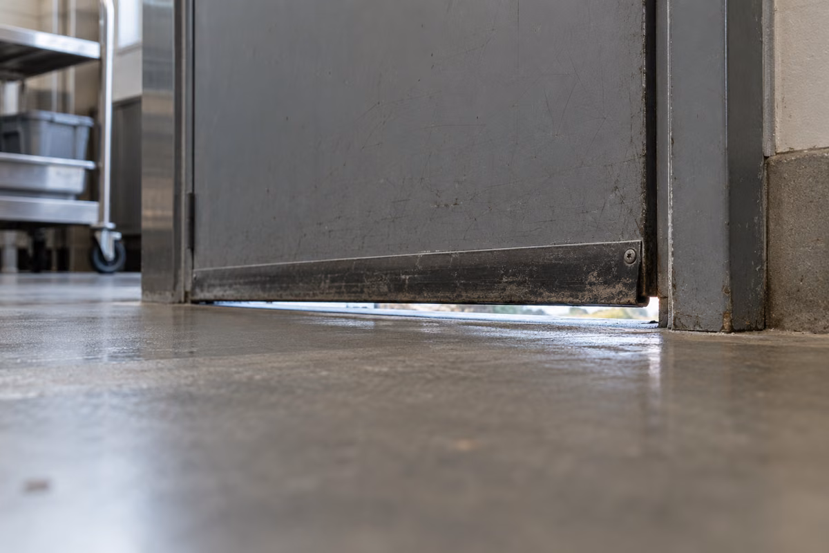 Where Mice Hide and Enter in a Restaurant